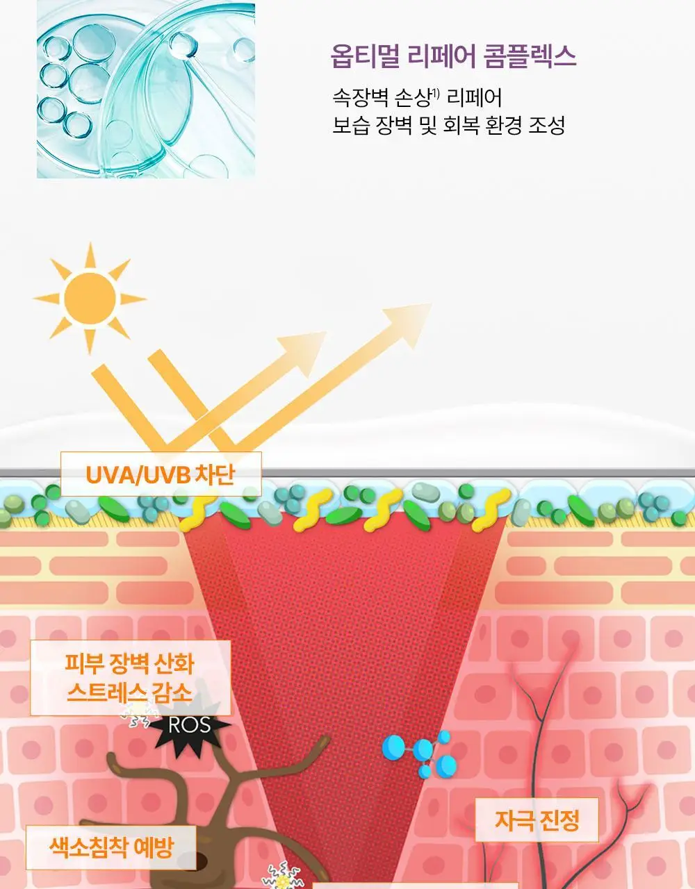 [NEW/ 온라인 단독] 바이오더마 시카비오 크림+ SPF 50+ 40ml 기획 (+센시비오H2O 100ml) 상세페이지 11